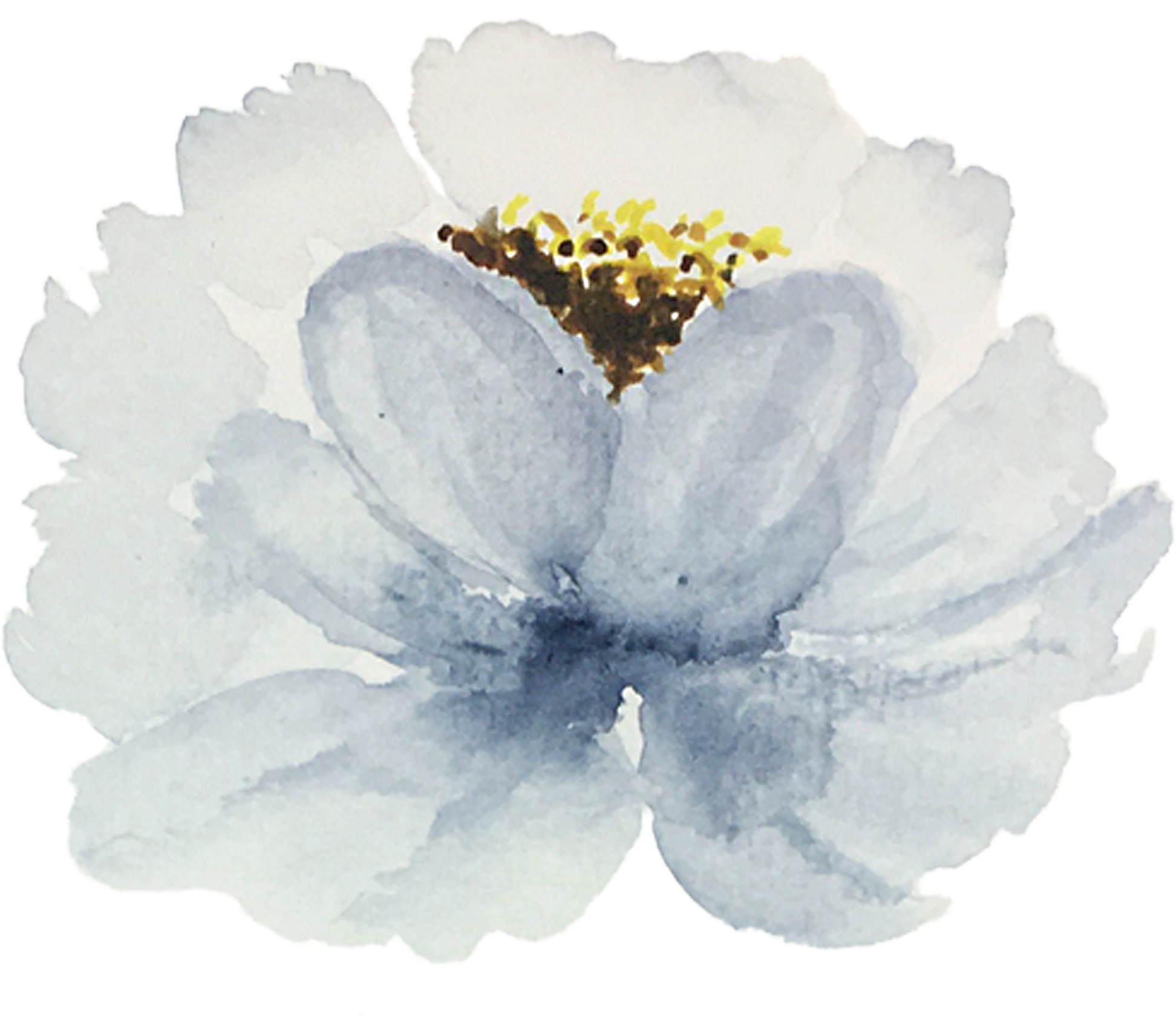 White Watercolor Flower Cutout