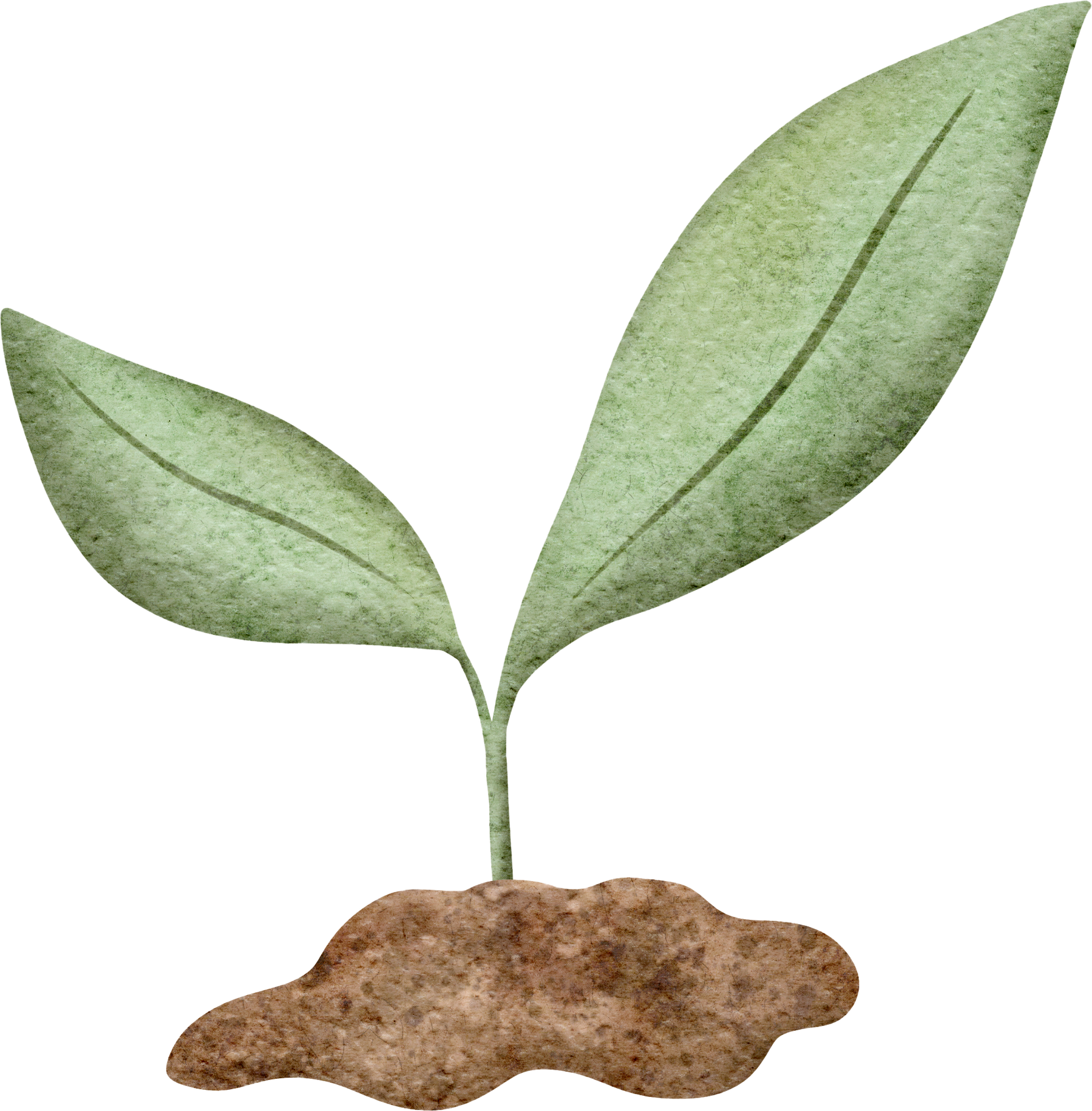 watercolor sprout with leaves in soil